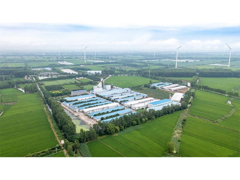 2023年中央一號文件出爐，畜禽產業(yè)應抓住哪些新機遇？