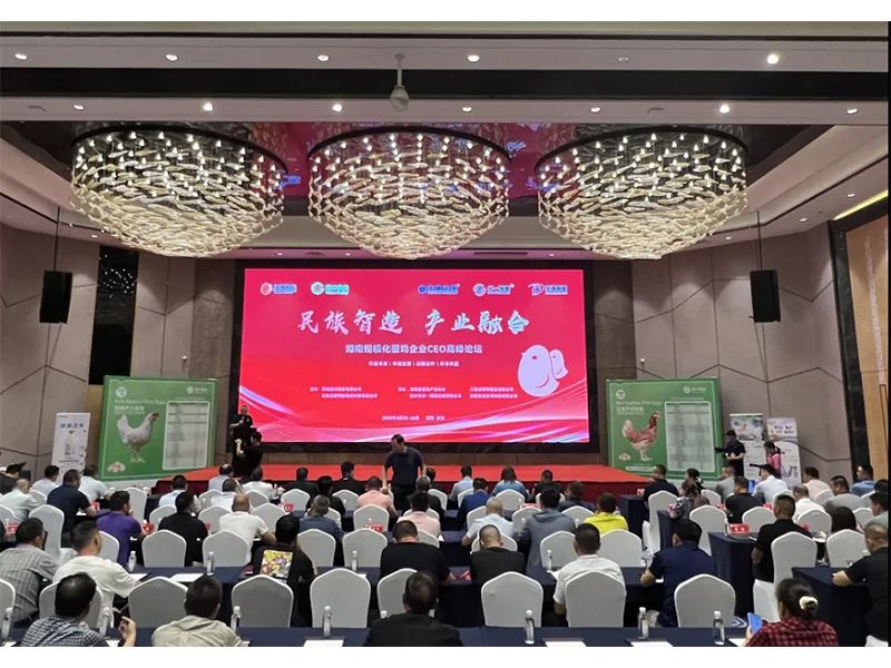 熱烈祝賀湖南規(guī)?；半u企業(yè)CEO高峰論壇取得圓滿成功！